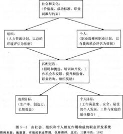 人力资源管理基础知识内容,人力资源管理基础知识要点,人力资源管理基础知识试题及答案