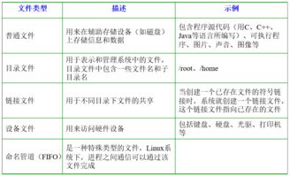 程序员的基础知识点