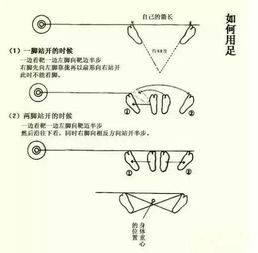 射箭教学基础知识