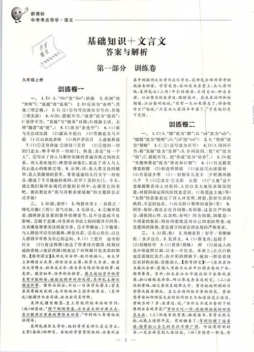 基础知识,高考语文