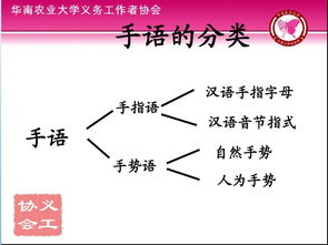 汉语的基础知识,汉语基础知识考试试题,小学汉语基础知识