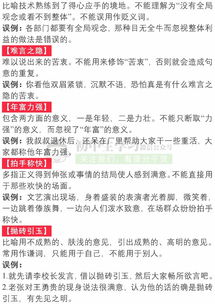考查,成语,基础知识,初中语文