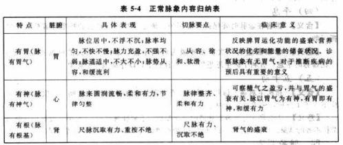 中医脉象学基础知识