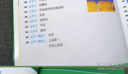 兵兵球基础知识教案