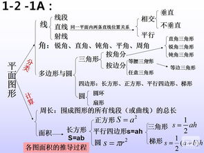 人教版小升初数学基础知识