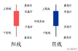 蜡烛图基础知识1