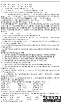 中考语文基础知识汇总,中考语文基础知识强化训练,中考语文基础知识整理