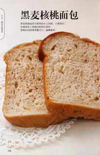 面包零基础知识