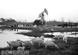 江汉油田采油地质基础知识