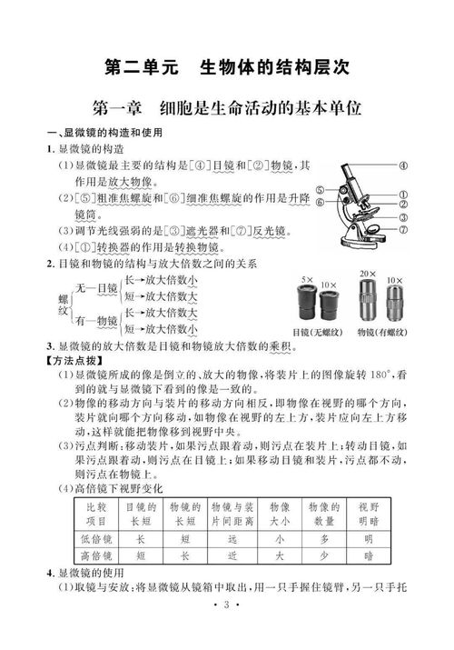 知识点,初中,生物,基础