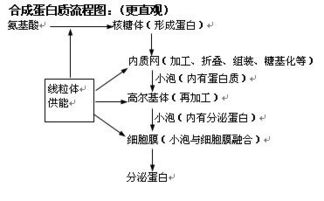 细胞生物基础知识(上)