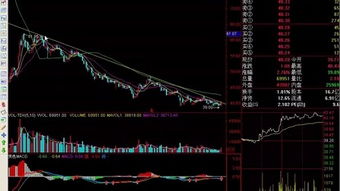 理论知识,入门,基础,股票